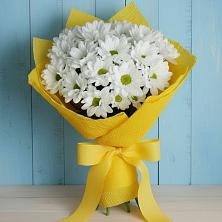 Букет цветов из:  Хризантемы в Митрополье