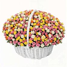 Премиум букет из: Розы в Митрополье