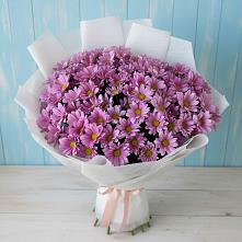 Букет цветов из:  Хризантемы в Митрополье