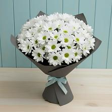 Букет цветов из:  Хризантемы в Митрополье