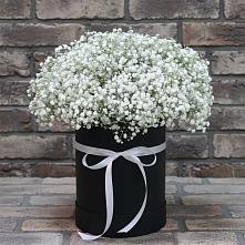 Цветочная композиция из Гипсофила в шляпной коробке в Митрополье