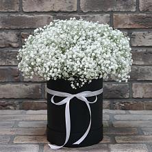Цветочная композиция из Гипсофила в шляпной коробке в Митрополье