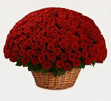 Премиум букет из: Розы в Митрополье