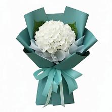 Букет цветов из:  Гортензия в Митрополье